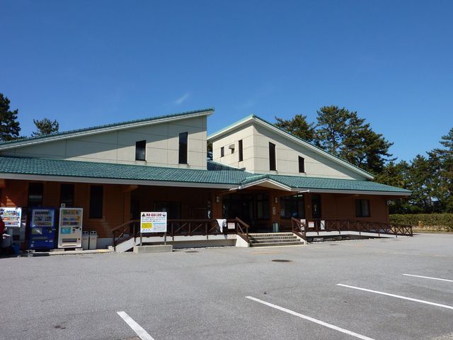 �����q�X�C�C�݃I�[�g�L�����v��