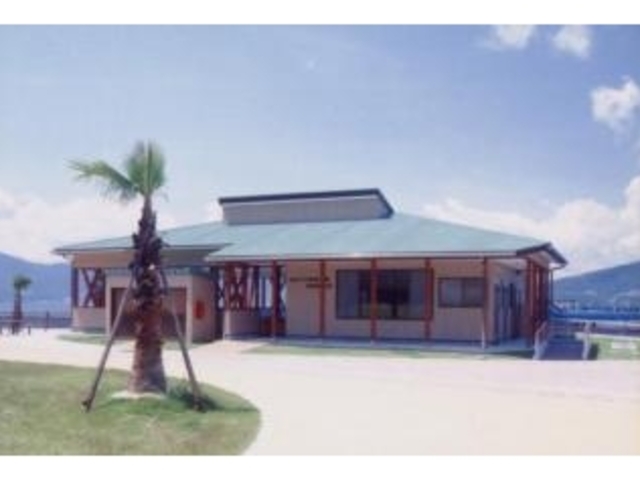 ��������C�ތ���