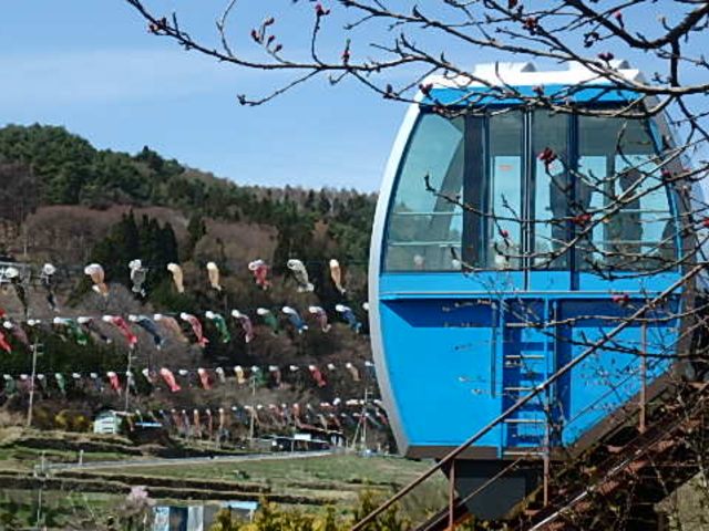 �씪���x�Ԃ̐X����