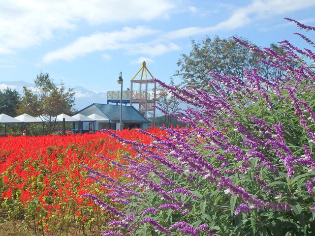 �씪���x�Ԃ̐X����