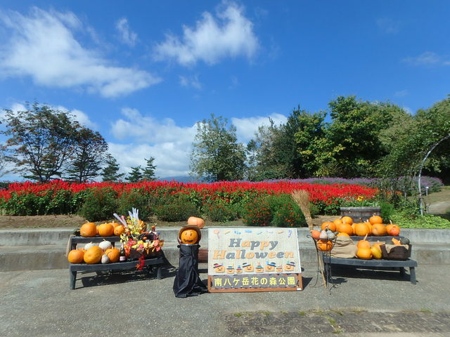 �씪���x�Ԃ̐X����