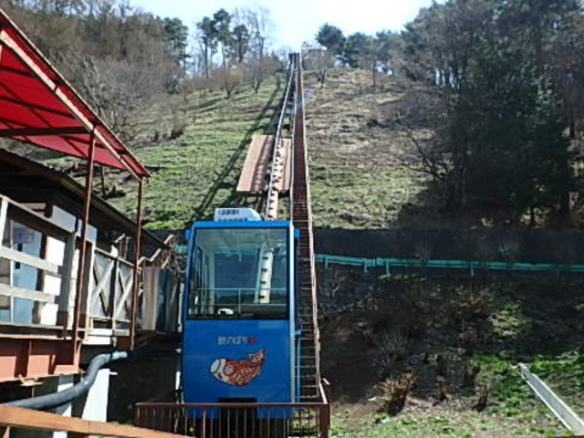 �씪���x�Ԃ̐X����