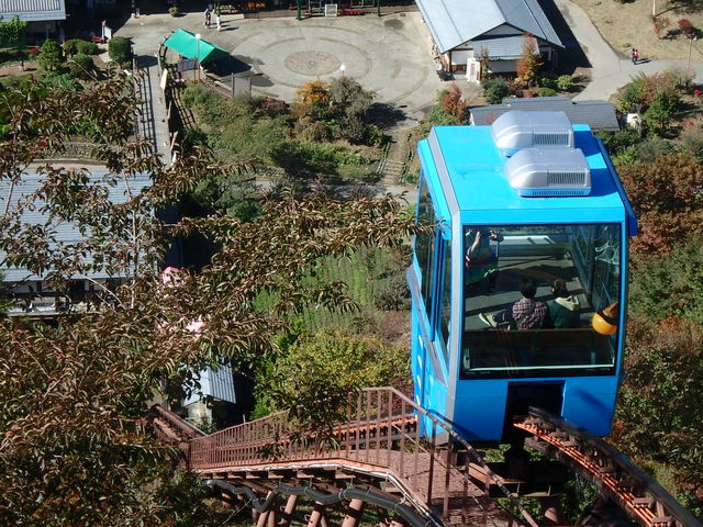 �씪���x�Ԃ̐X����