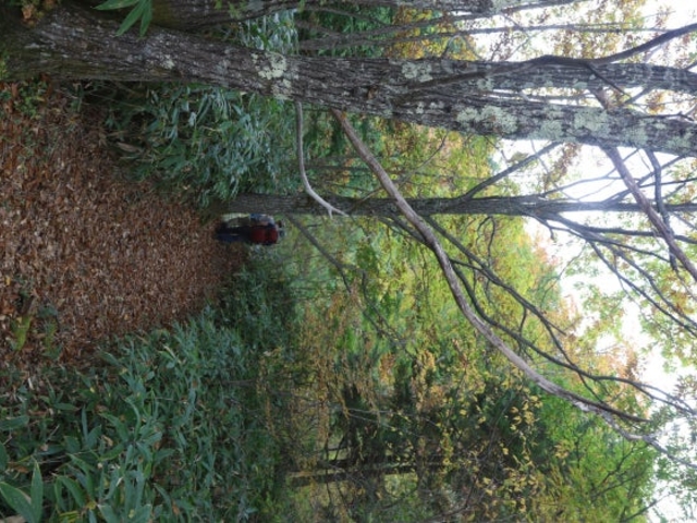 �J���R�o�R��_�J���R