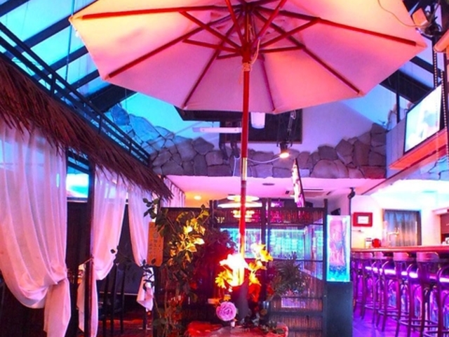 ؑnʃ_CjO Shun sX̎ʐ^1