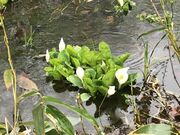 ~YoVEQn(O֎Rt)̎ʐ^1