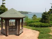 ��������r�A�p�[�N�̎ʐ^1