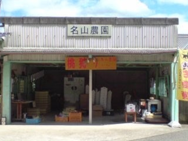 �m�����n���R�_���̎ʐ^1