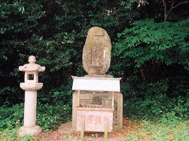 �����q�АՂ̎ʐ^1