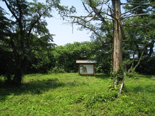 ���R��V�����̎ʐ^1