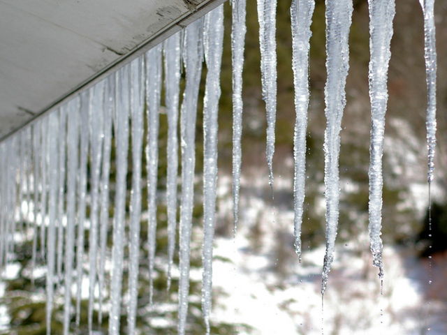 �q���̑��������]��_���M���̓��������