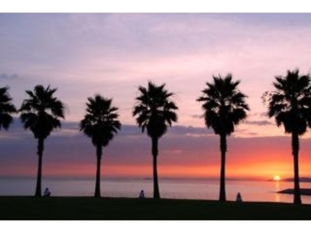 ��̋{�C������