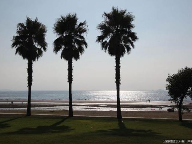 ��̋{�C������