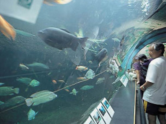 �������Ȋ�