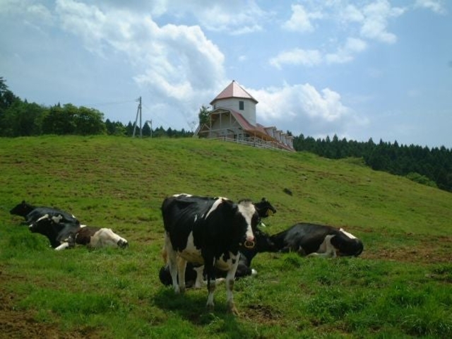 �ӂꂠ���q��𗬊ق̎ʐ^1