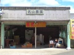 �m�����n���R�_���̎ʐ^