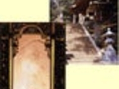 �����q�ω��̎ʐ^1