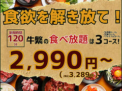 ���� ���イ���� ����n�X�̎ʐ^1