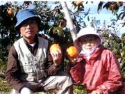 �m�����n���R�_���̎ʐ^3