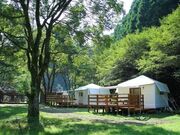 ���₵�̐X�@��?���ނ̎ʐ^1