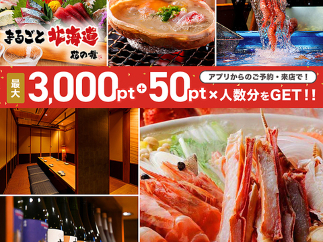 ܂邲ƖkC Ԃ̕ Dyk2X̎ʐ^1