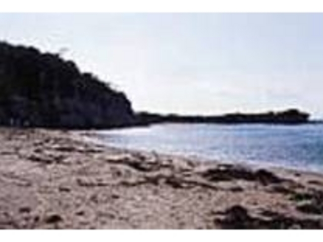 �[�z�̔��������L���Ȃ̂Ŋό������ł��n�j_���҃���E��l�C������