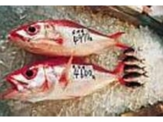 �ό��q�������J���t���ȋ��͈ӊO�Ǝ|��_�������ȃZ���^�[