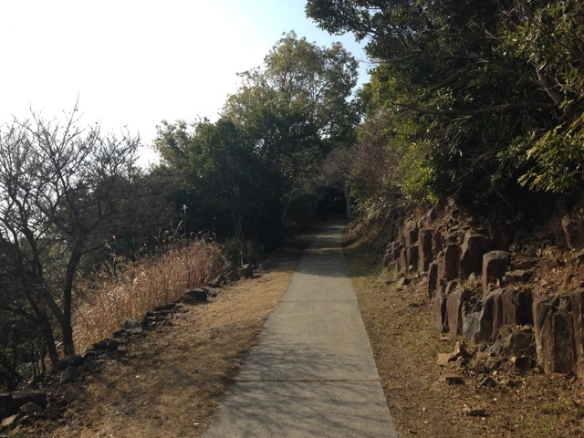 �������i�ד�����j