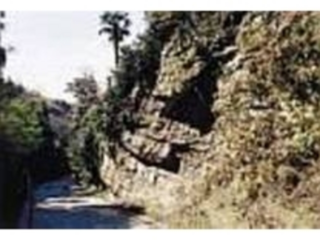 �U�b�N���Ɛ؂�ꂽ�R���͐̂̂܂܎c��_�T���J��ؒʂ�