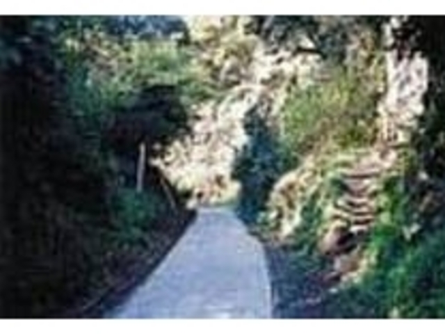 ���̍ד������{�ւ̒ʗp���̂ЂƂ�����_�T���J��ؒʂ�