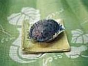 �ɐ����̎ʐ^2