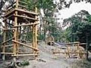 �������X�ь����i���̐X�������j�̎ʐ^1