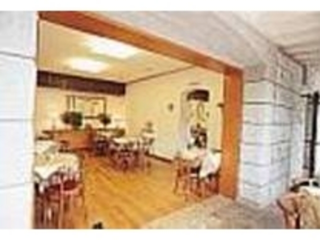 ̂XB̓o]_[YK[f@̖؂Ă