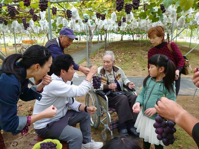 �܂邦�ό��ʎ���