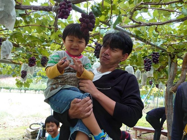 �܂邦�ό��ʎ���