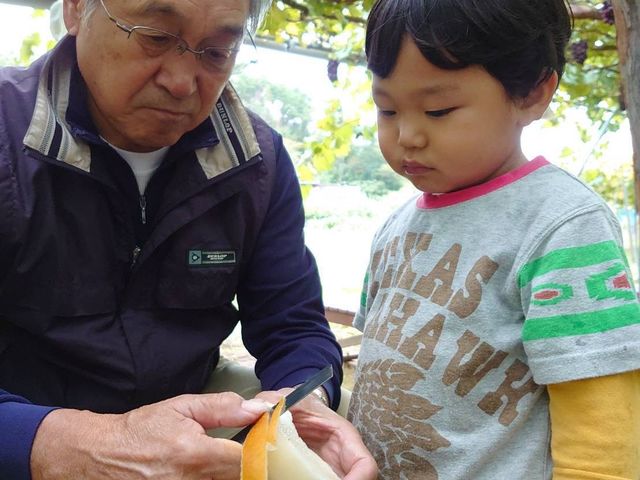 �܂邦�ό��ʎ���