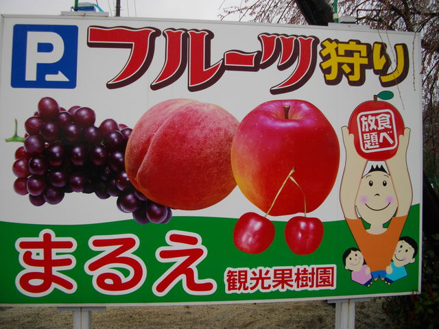 �܂邦�ό��ʎ���