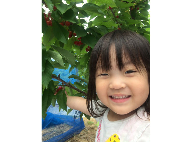 �܂邦�ό��ʎ���