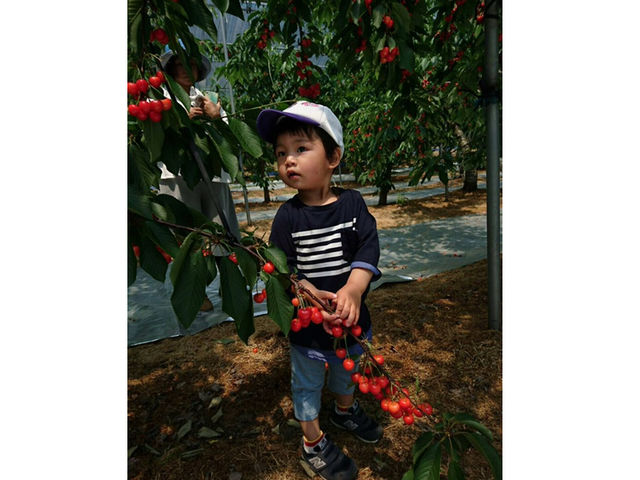 �܂邦�ό��ʎ���