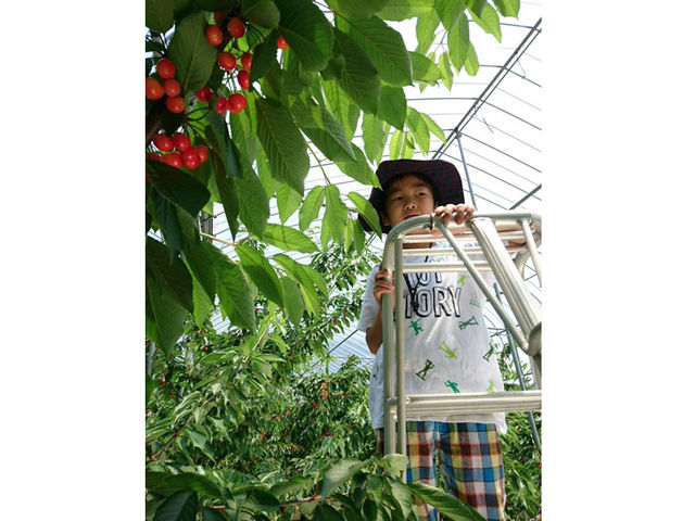 �܂邦�ό��ʎ���