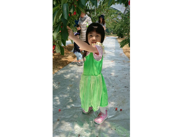 �܂邦�ό��ʎ���