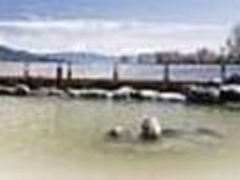 甲斐大泉温泉　パノラマの湯の写真1