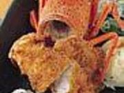 �J�t�F�L�b�`���@�����Ƃ�̎ʐ^2