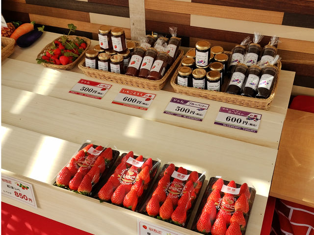 ������_�ό������_�����C�t�@�[��