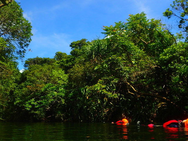 �����L���j�I�j���O_motti�@���\���g���b�L���O�G�R�c�A�[