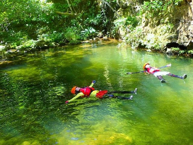 �����L���j�I�j���O_motti�@���\���g���b�L���O�G�R�c�A�[