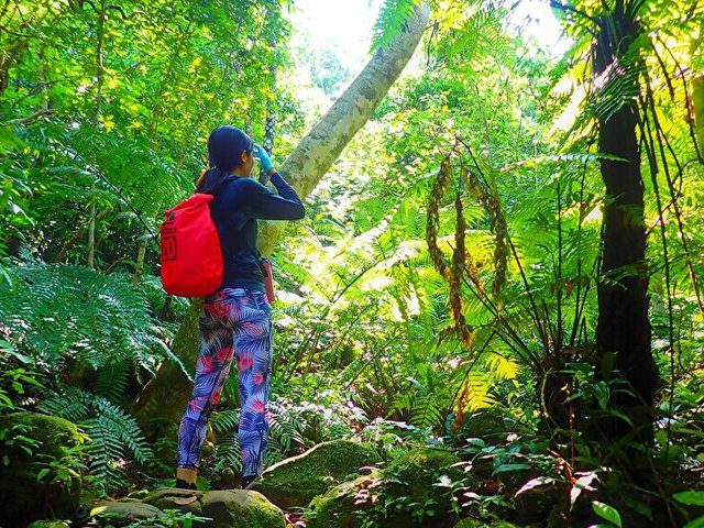 �X�ї������g���b�L���O_motti�@���\���g���b�L���O�G�R�c�A�[