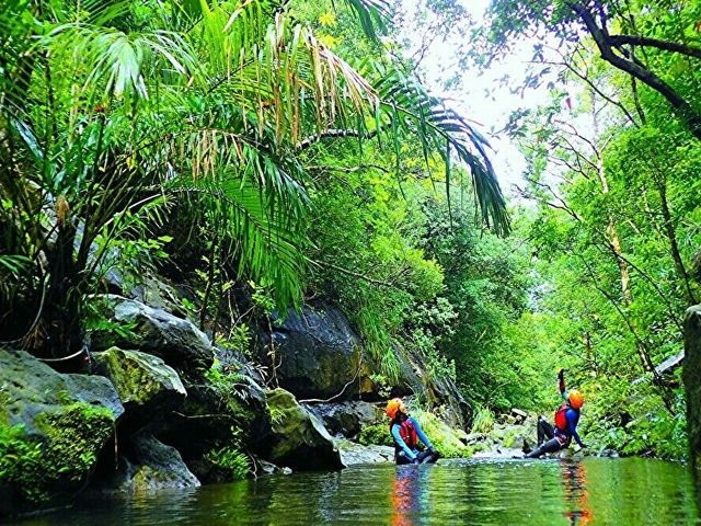 �����L���j�I�j���O_motti�@���\���g���b�L���O�G�R�c�A�[