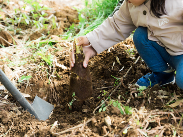 ���N���J��! �^�P�m�R�@��_���̂��˂܂����