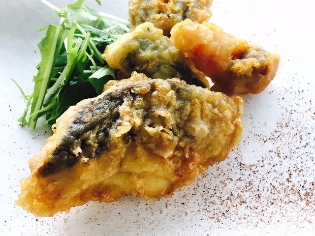 �S���h���E�o��